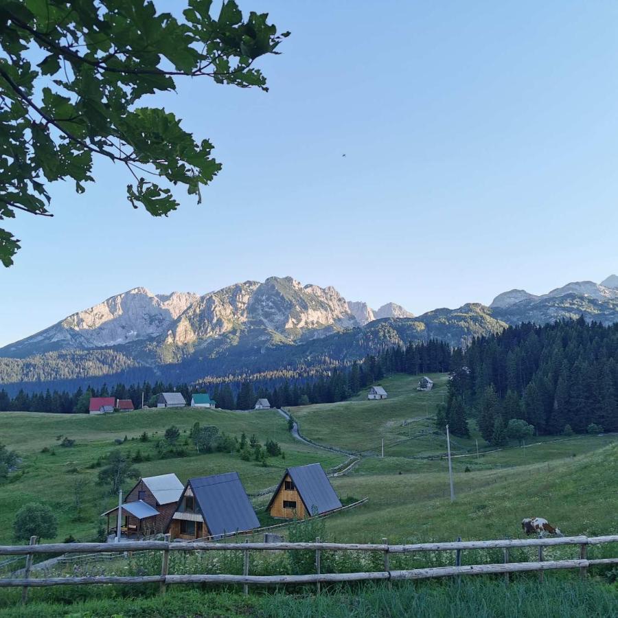 Žabljak Bosacaヴィラ エクステリア 写真
